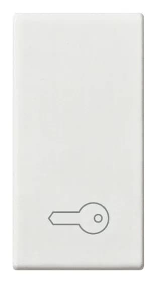 PLANA BUTTON 1-MODULE KEY SYMBOL WHITE INTERCHANGEABLE BUTTON, WITH LIGHTABLE SYMBOL product image