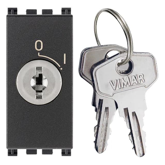 Arke: Push Button and Key, 1-Module Grey, 2P, NO, 16A, 250V product image