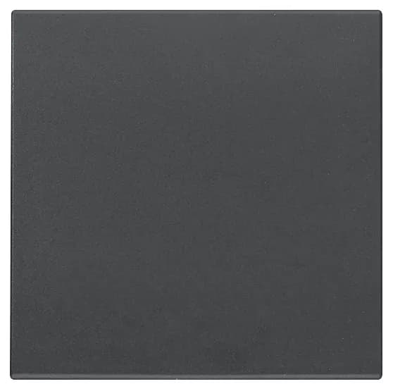EIKON: 2-Module Interchangeable Button for RF Switch, Grey product image